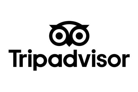 全球领先的旅行平台「猫途鹰 tripadvisor」启用新logo
